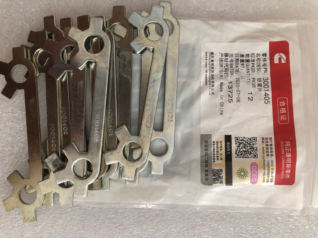 3001405 Стопорная пластина